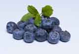 Blueberry (ब्लुबेरी)